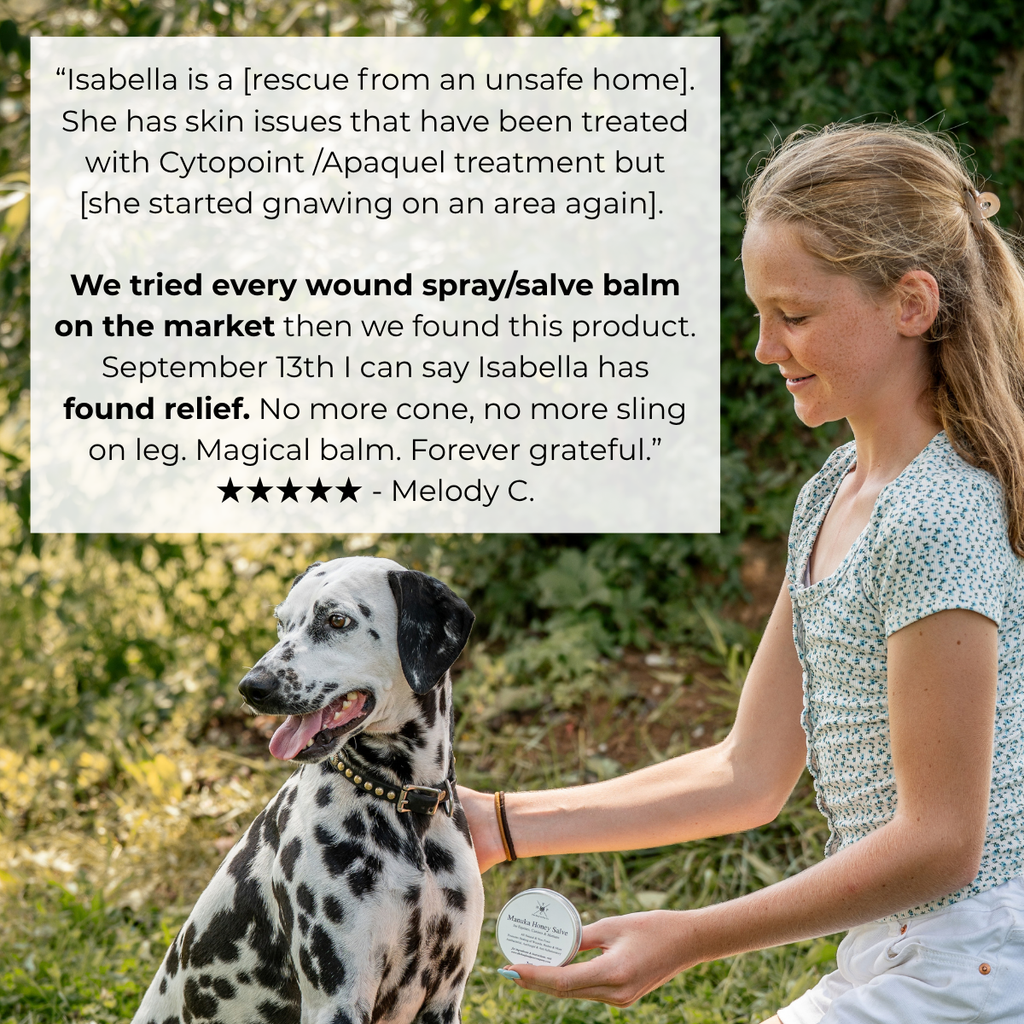Manuka Honey Salve for Dogs, Horses & Humans