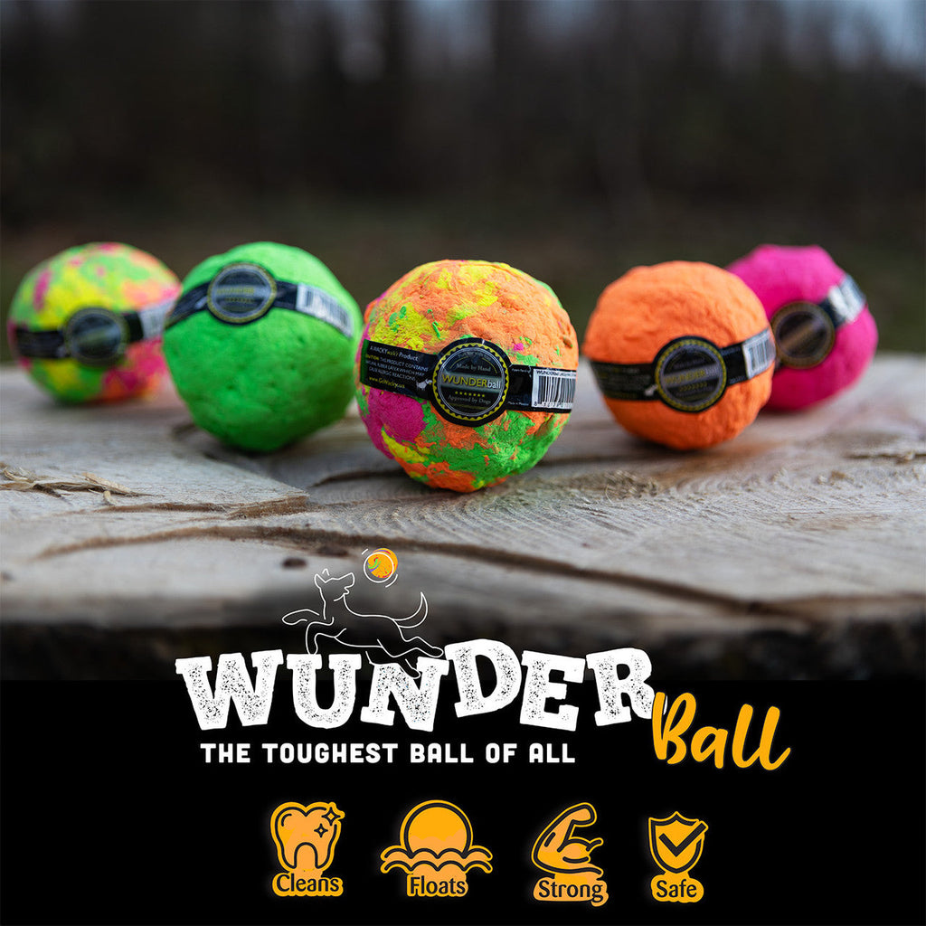 WUNDERball - Best Fetch Toy
